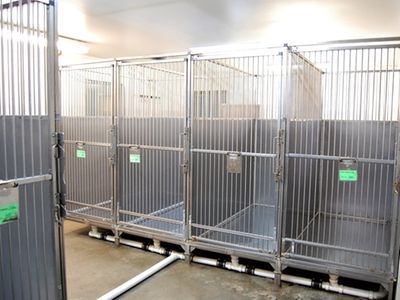 A room with a lot of kennels and a door.