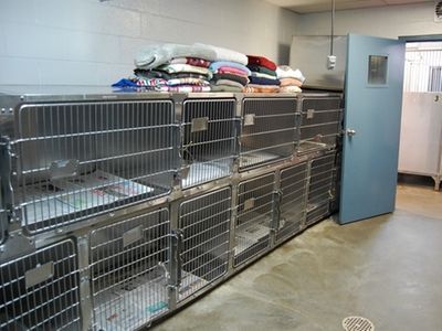 A room with a lot of cages and a blue door