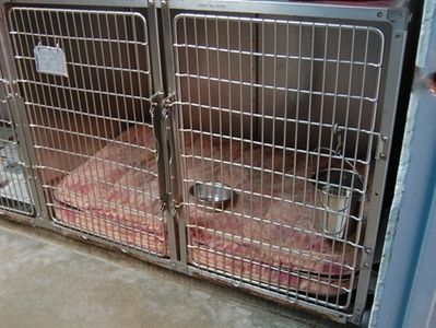 A cage with a blanket and a bowl in it