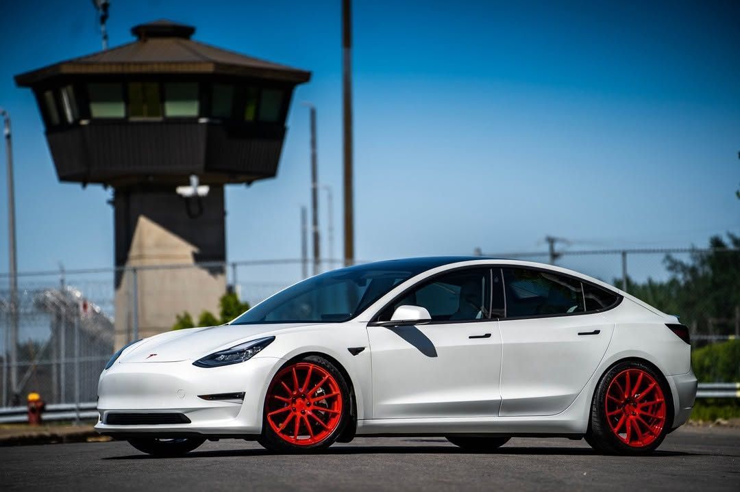 Ceramic Paint Protection