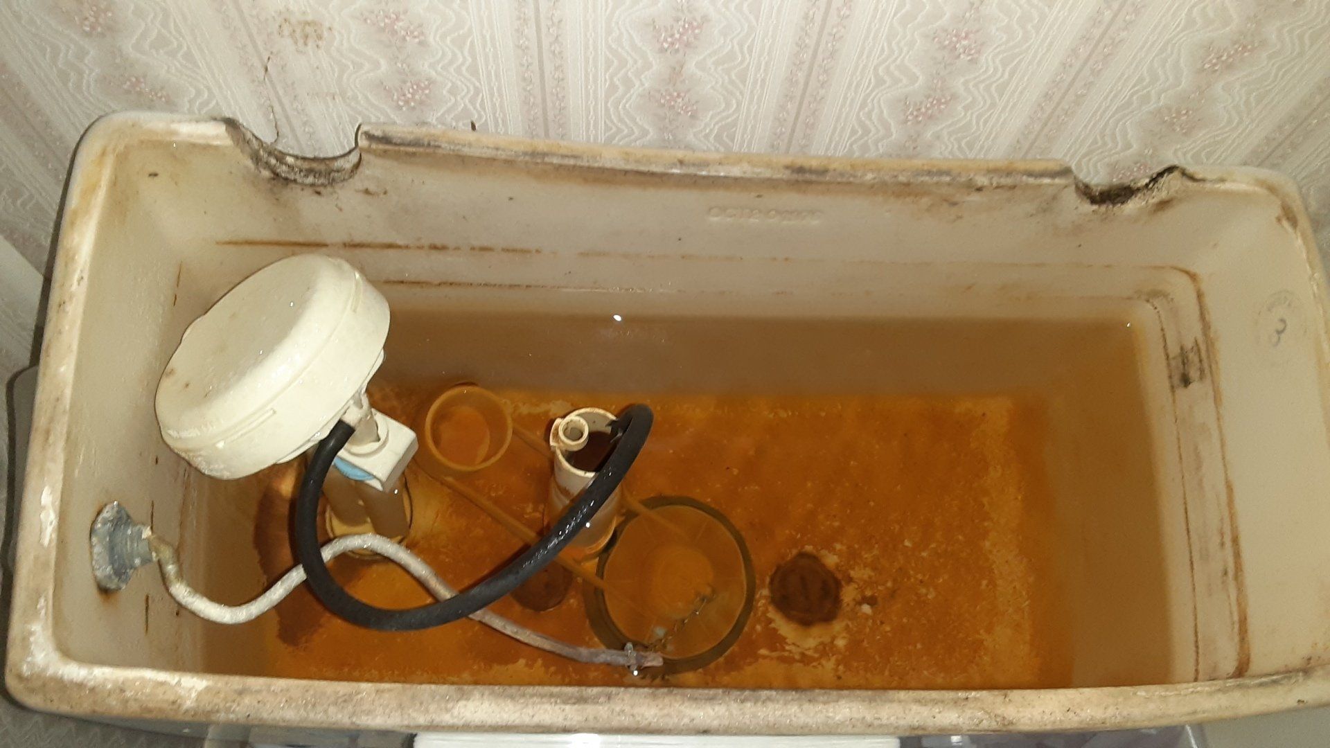 Before Fixing the Toilet — Alvin, TX — C and R Plumbing