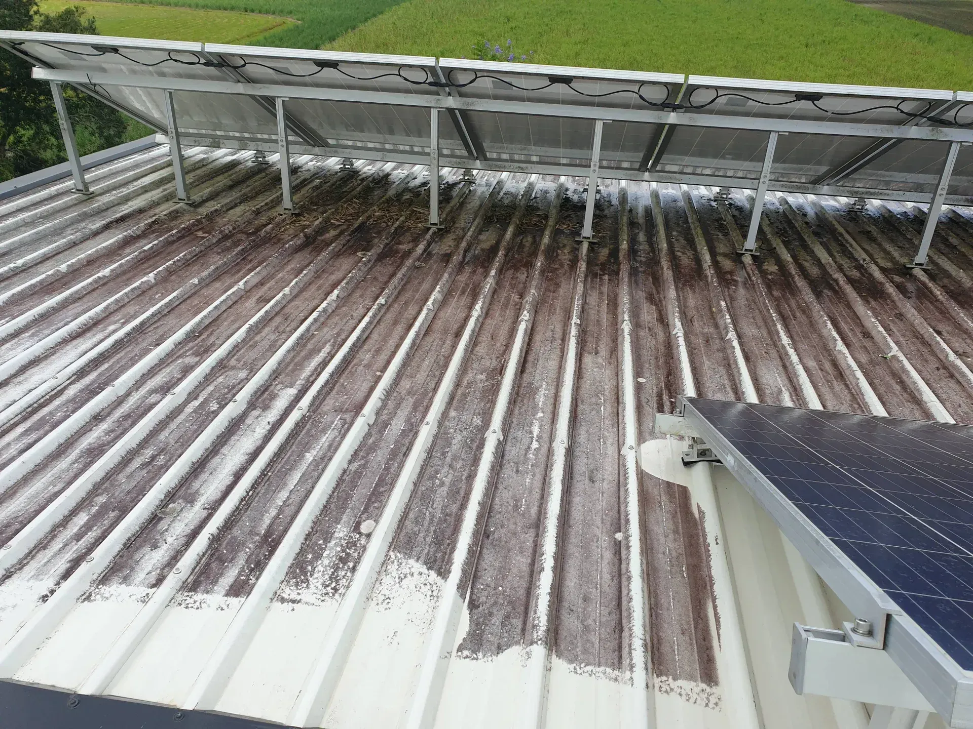 A Dirty Roof Has Begun To Get Cleaned — Magic Wand Roof Restoration & Painting in Mermaid Beach, QLD