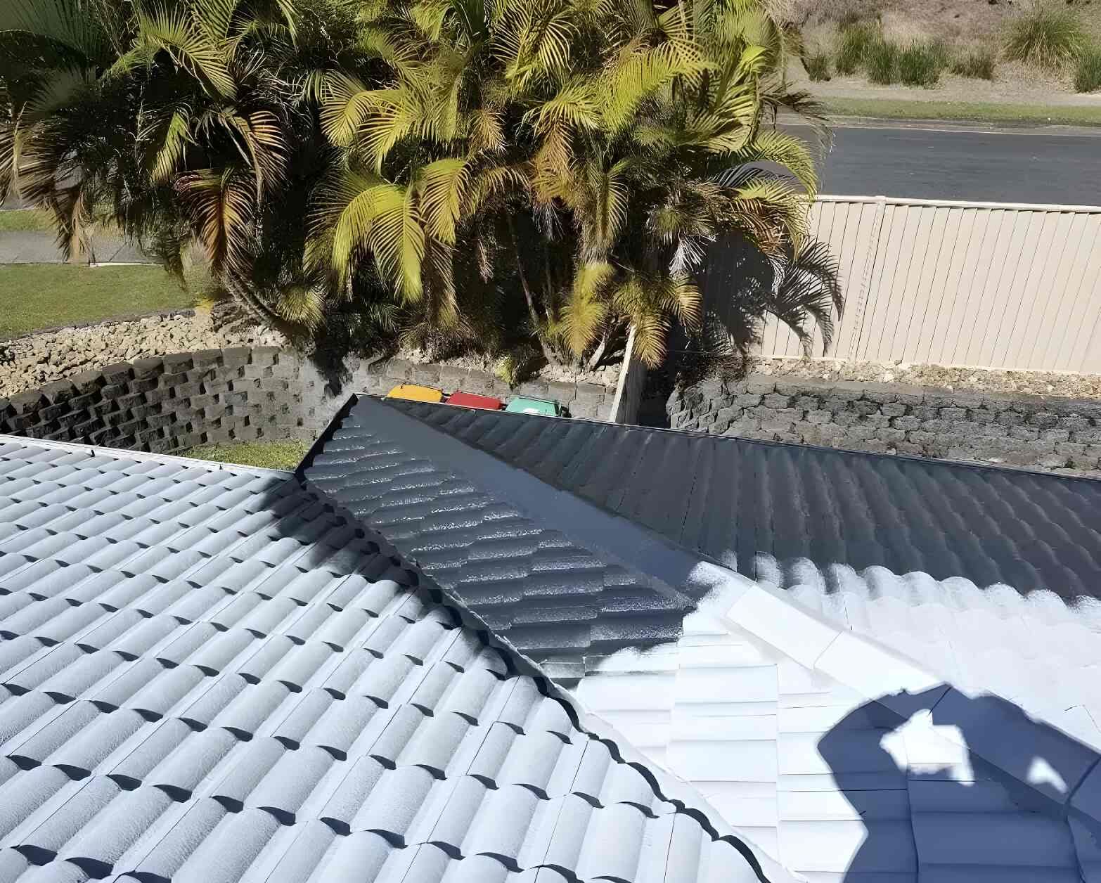 A Beautiful Roof Around the Palm Tree — Magic Wand Roof Restoration & Painting in Tweed, NSW