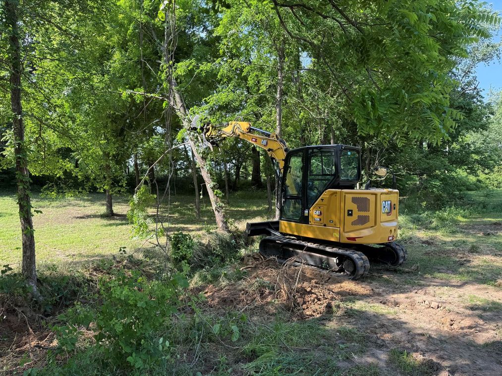 Yellow excavator clearing brush in a wooded area