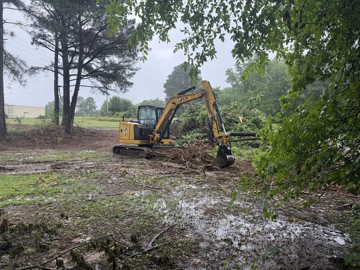 Yellow excavator clearing brush in a muddy wooded field