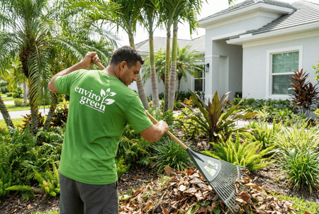 Property Clean Ups