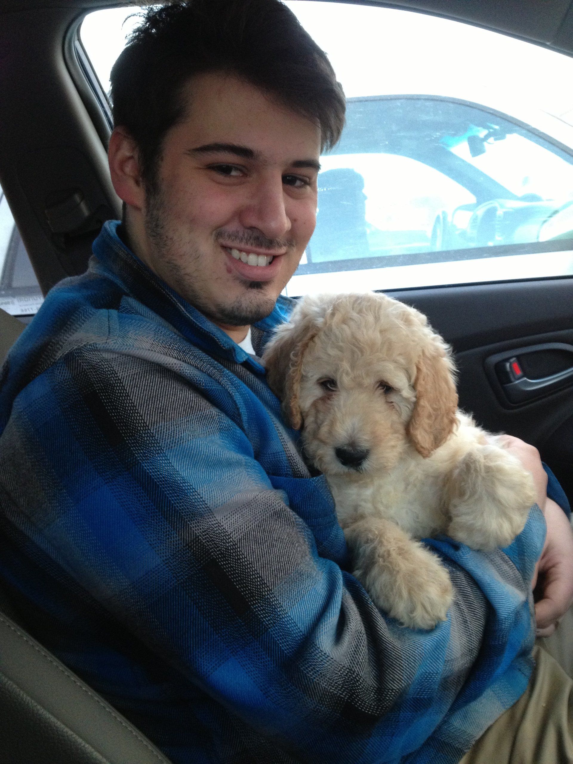 About Granite State Labradoodles