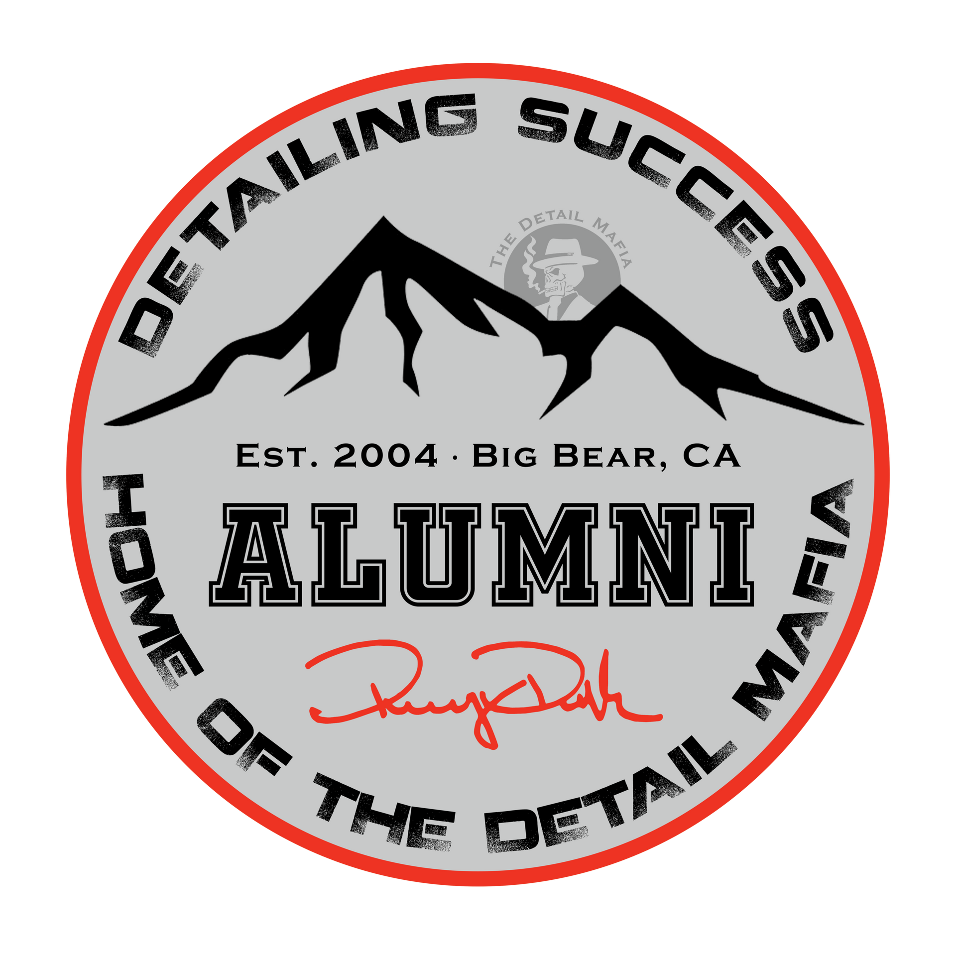 Detailing Success Logo