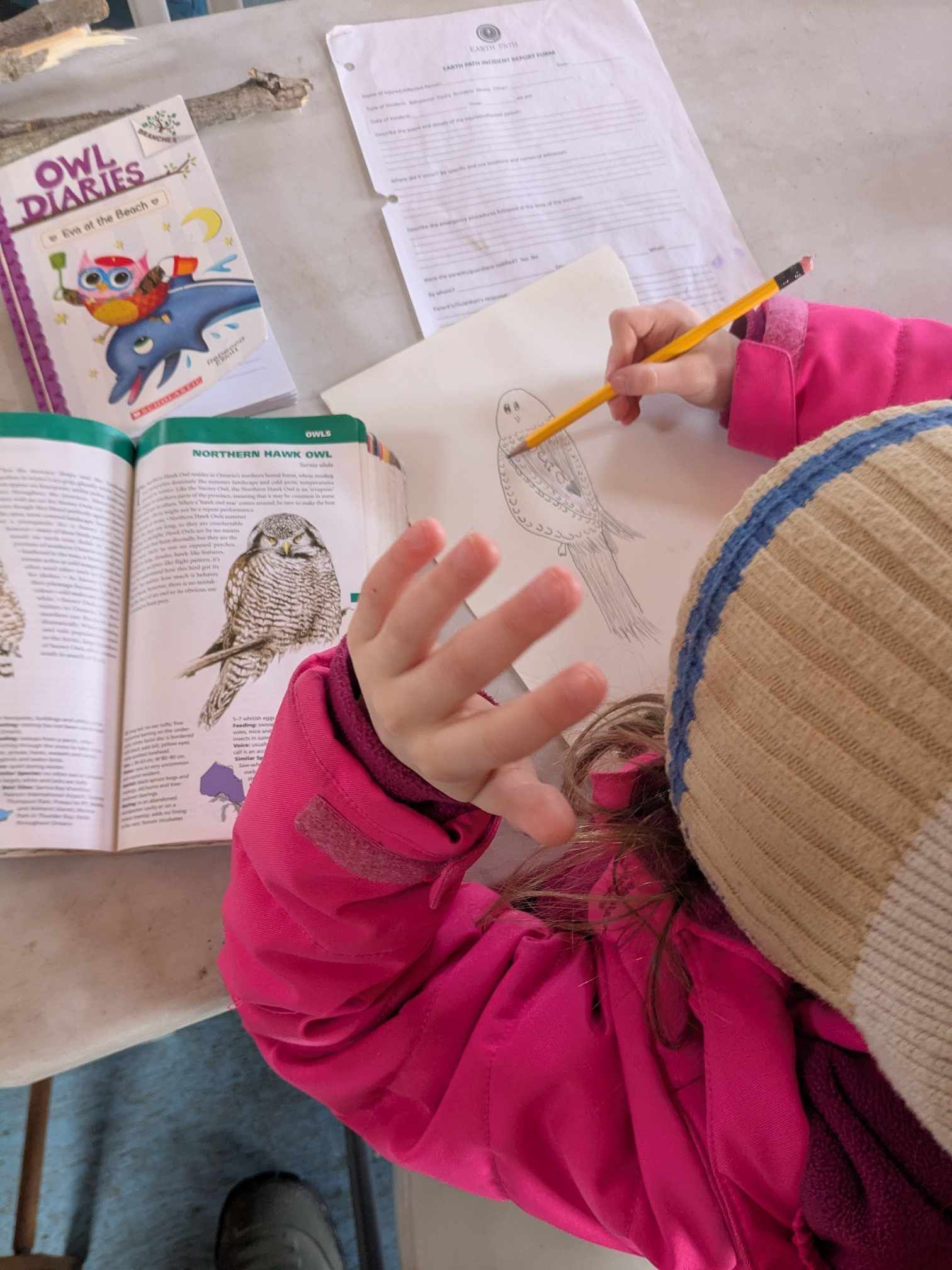 A child is drawing a bird in front of a book called owl diaries