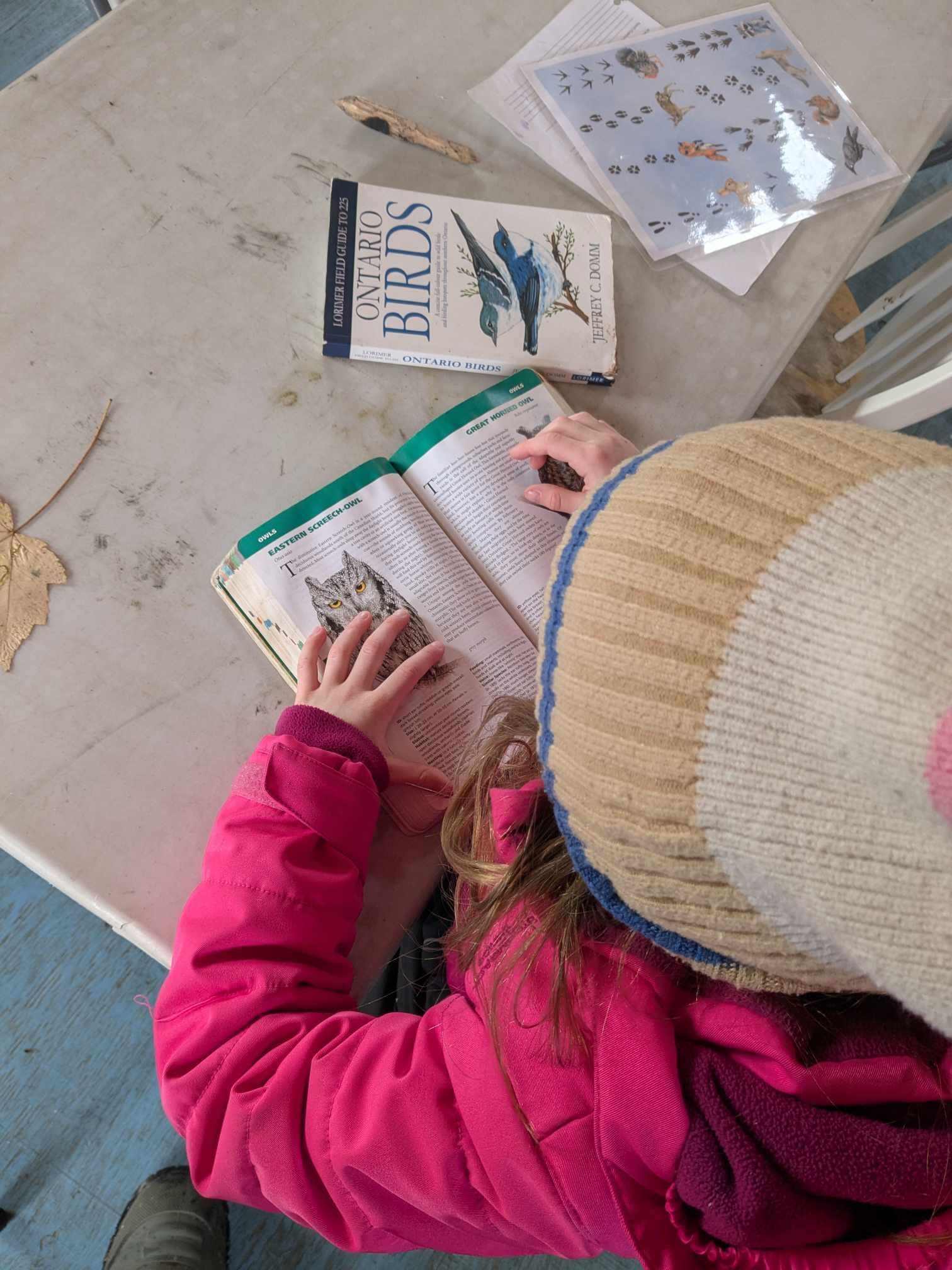 A little girl is reading a book about birds