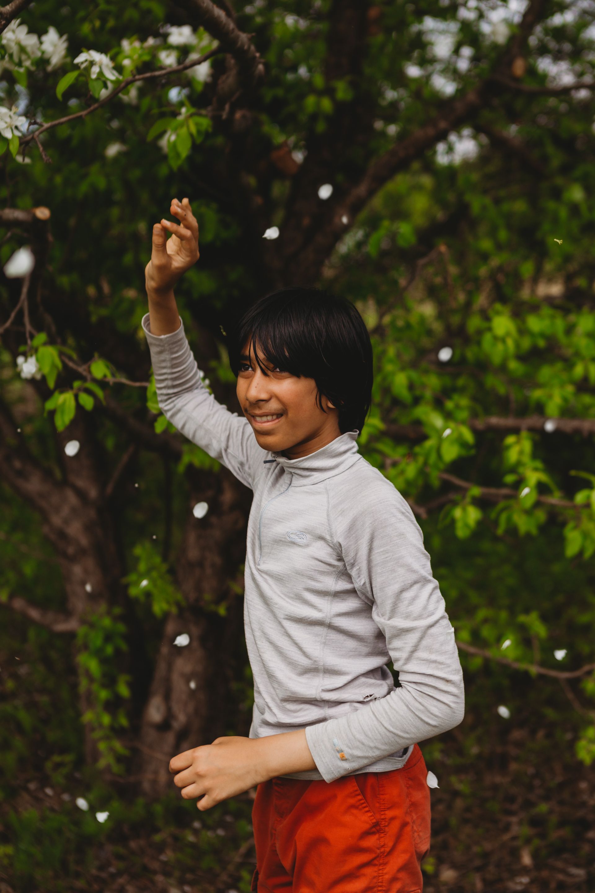 A young boy is standing in front of a tree with flowers falling from it.