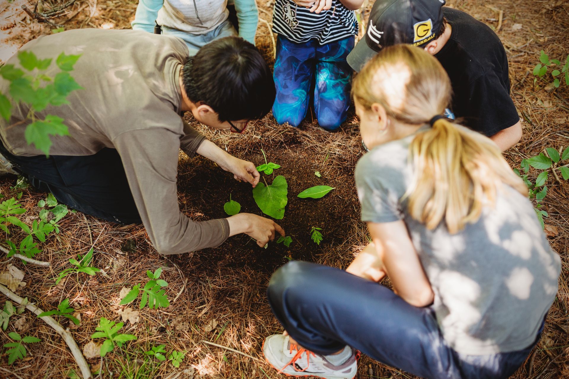 A group of people are kneeling down in the woods looking at a plant.