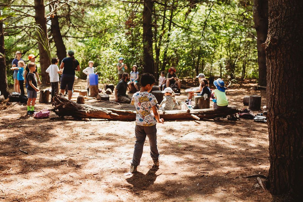A group of children are playing in the woods.