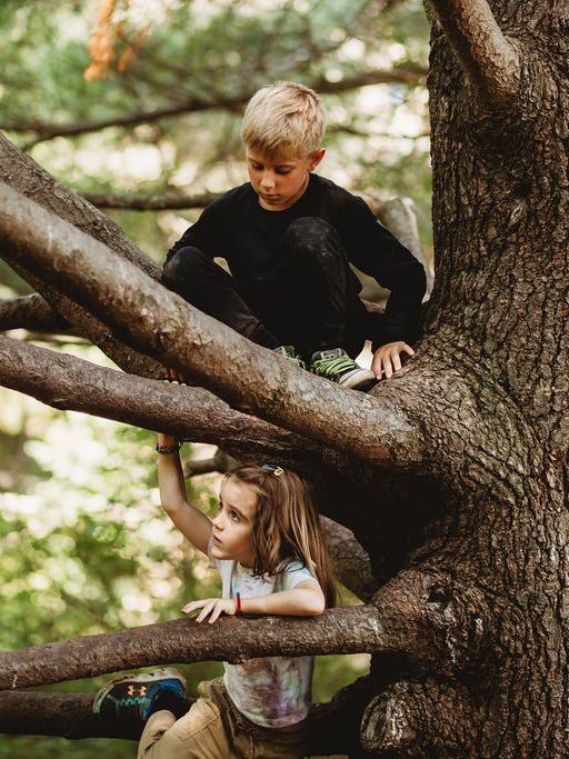 A boy and a girl are climbing a tree.