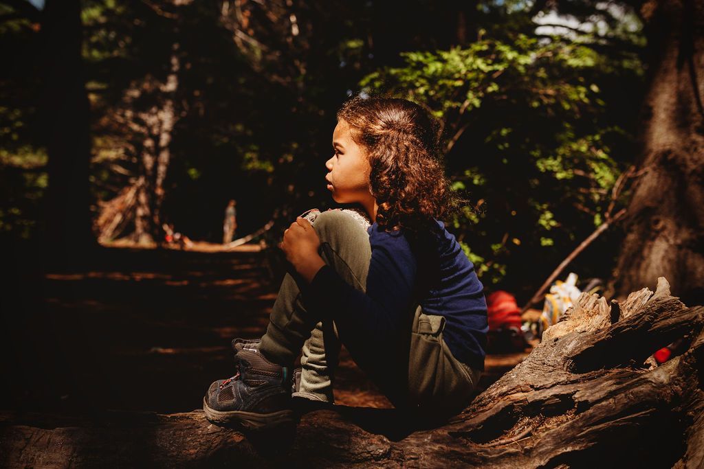 A young boy is sitting on a log in the woods.
