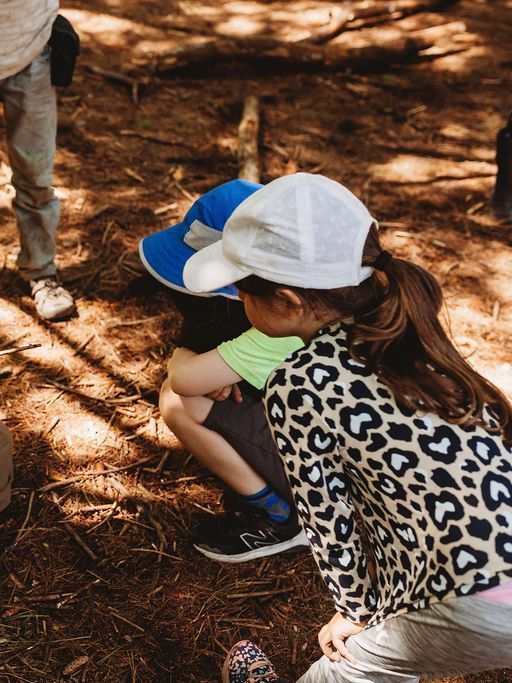 A group of children are sitting on the ground in the woods.