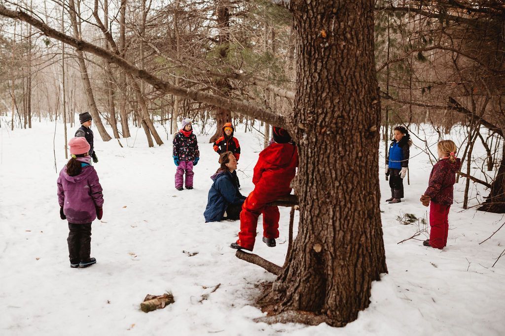 A group of children are playing in the snow near a tree.
