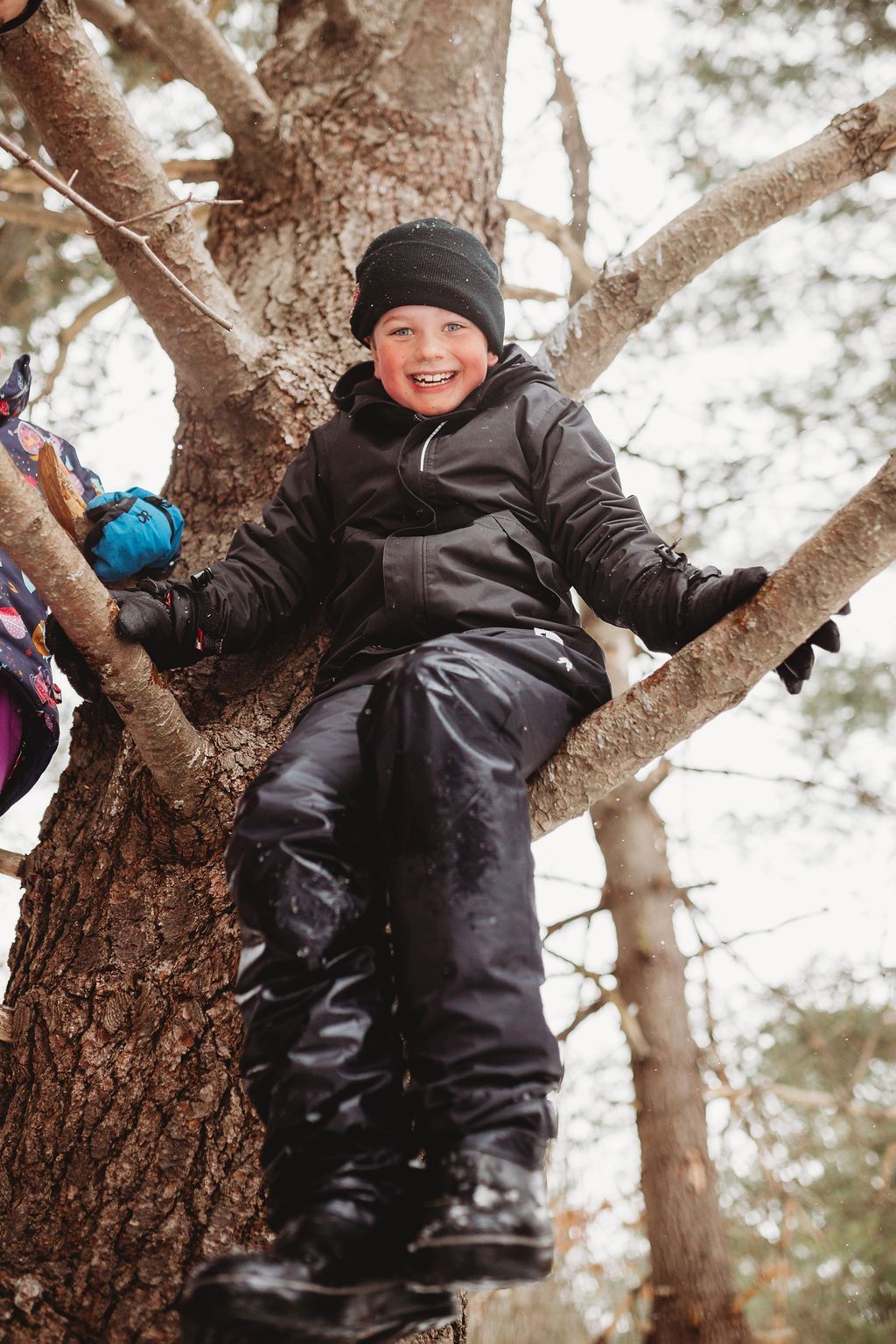 A young boy is sitting on a tree branch.