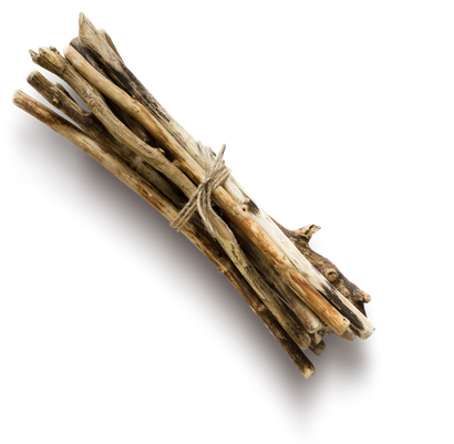 A bunch of sticks tied together with a string