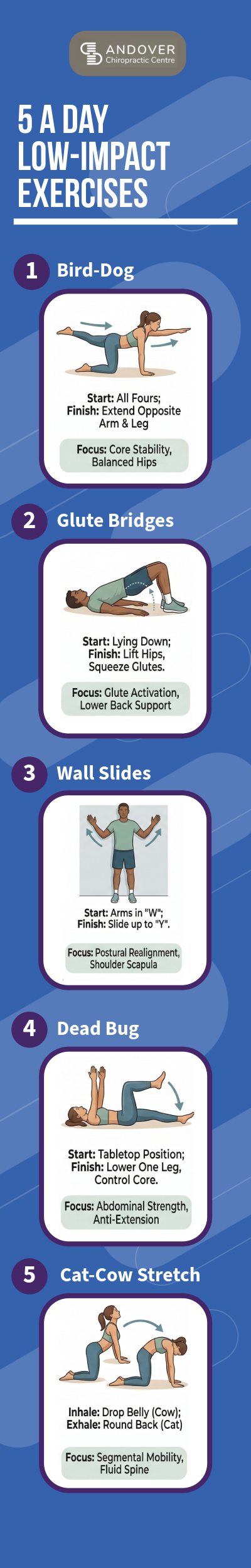 5 A Day Low impact exercises