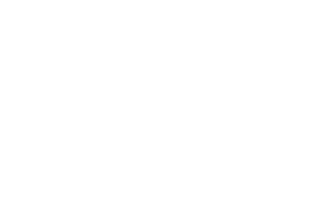 Rhyne Management and associates, inc. logo