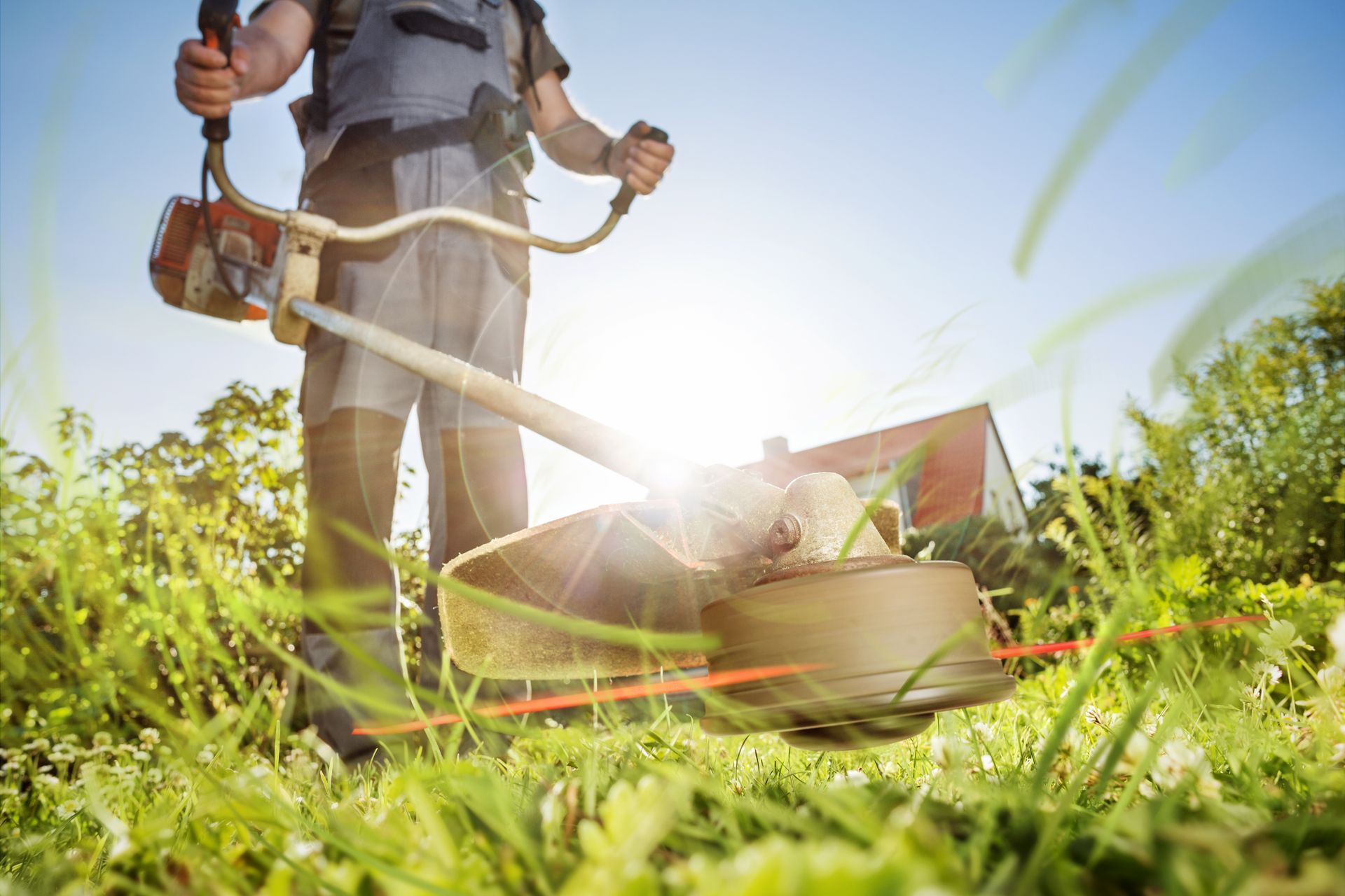 Eine Person mäht mit einem Rasentrimmer den Rasen in einem sonnigen Garten, wobei die Grashalme in der Nähe herumfliegen.