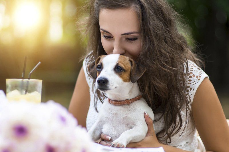 Mobile Pet Grooming Services in Beenleigh