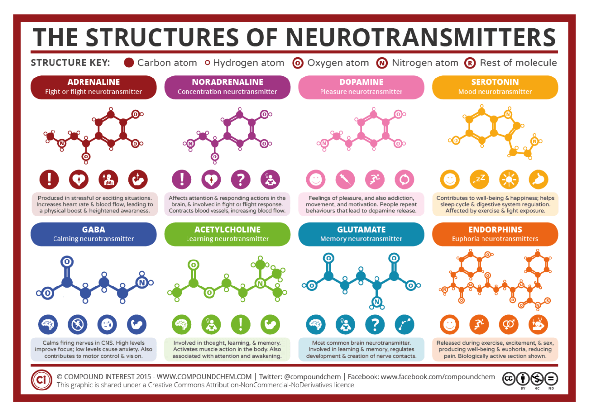 Diagram of neurotransmitter structures and their related functions.