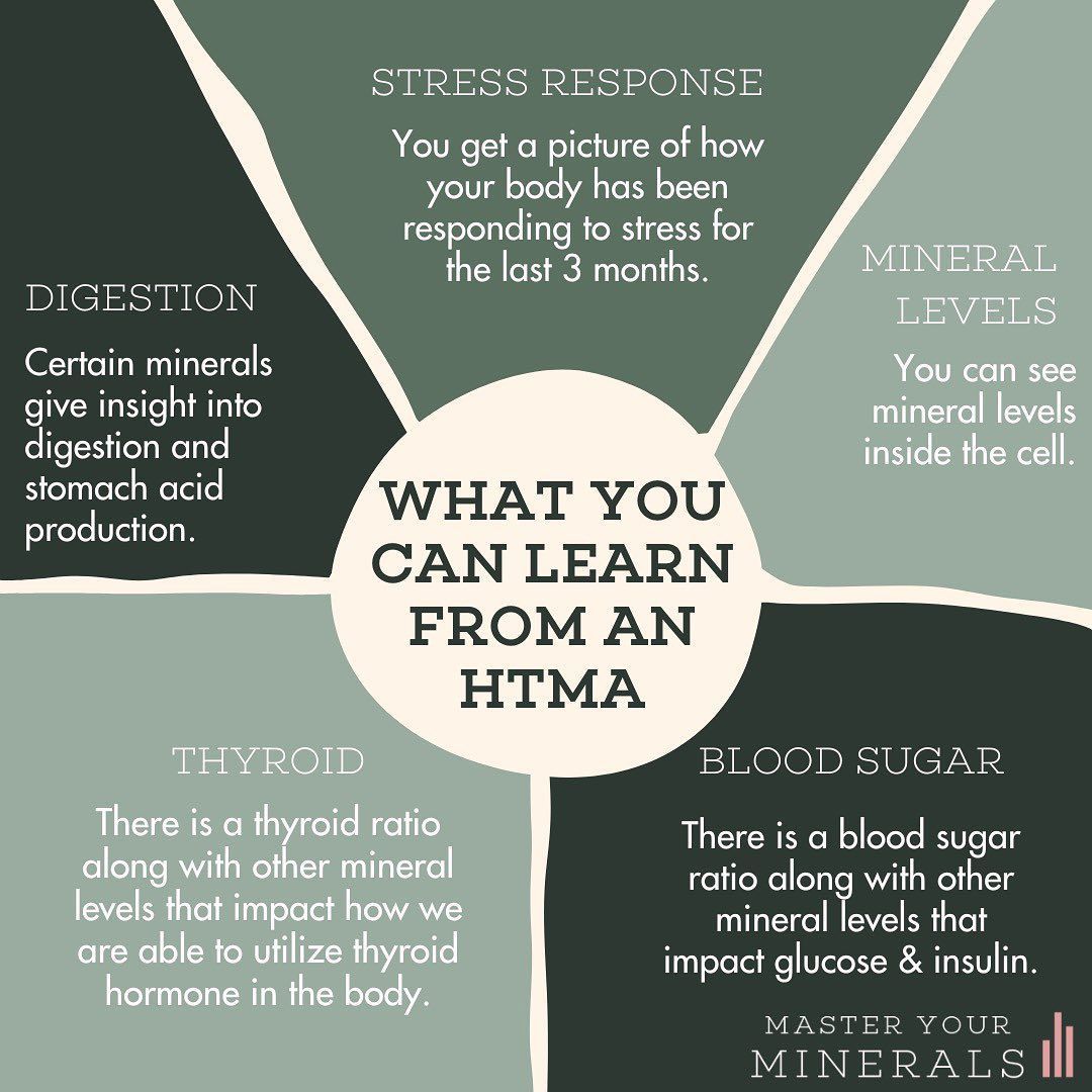Infographic: Benefits of an HTMA test. Shows digestion, stress, mineral levels, thyroid, & blood sugar insights.