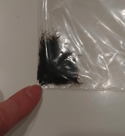 A person is holding a piece of hair in a plastic bag