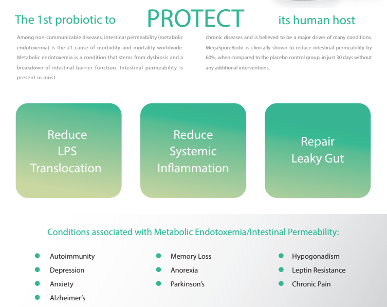 The first probiotic to protect its human host reduce lps translocation reduce systemic inflammation repair leaky gut