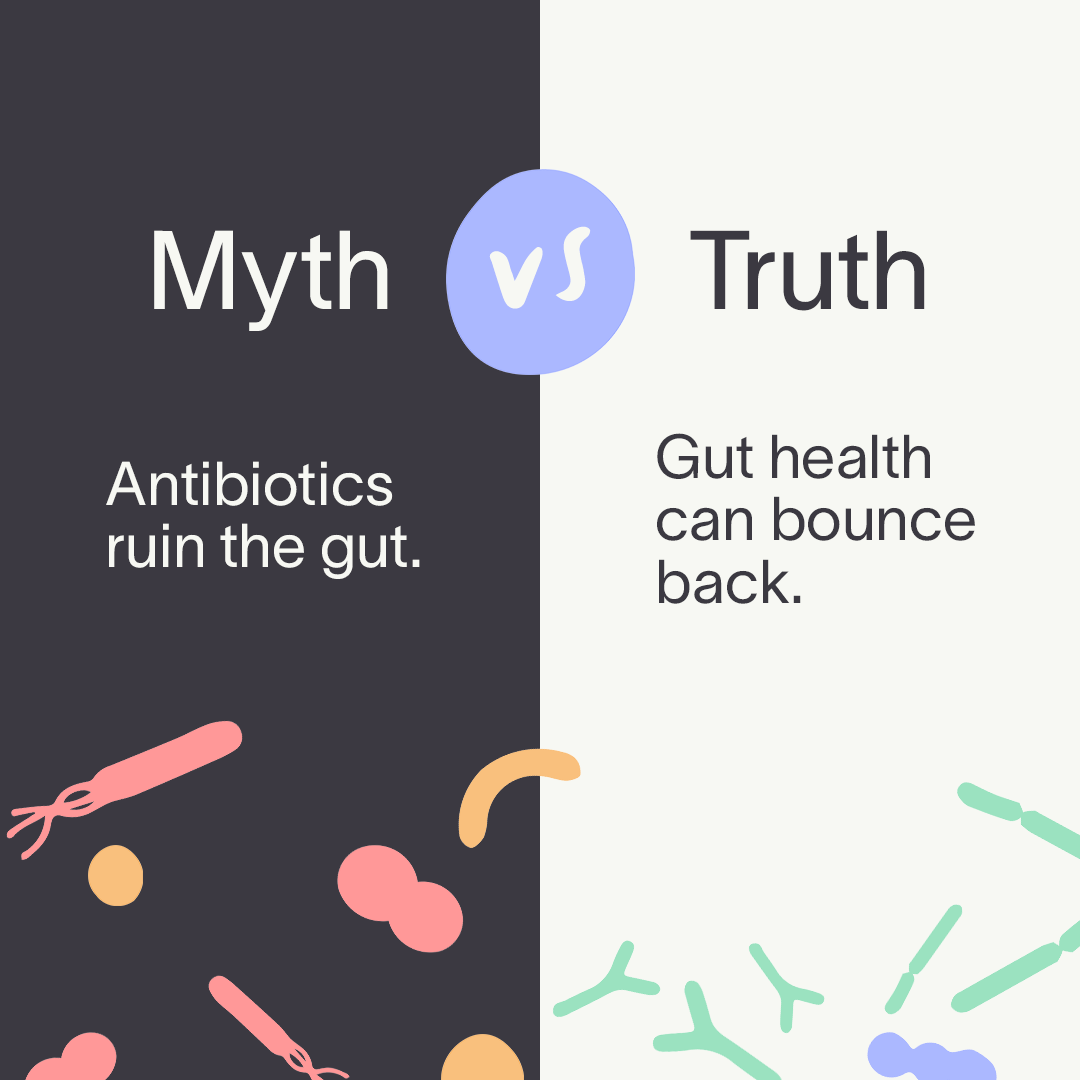 A poster that says myth vs truth antibiotics ruin the gut gut health can bounce back