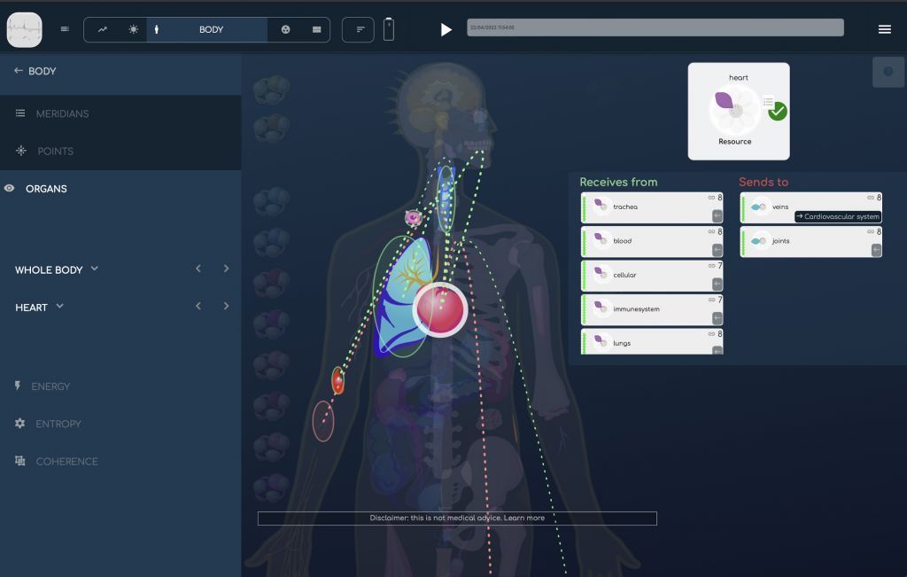 A computer screen shows the inside of a human body