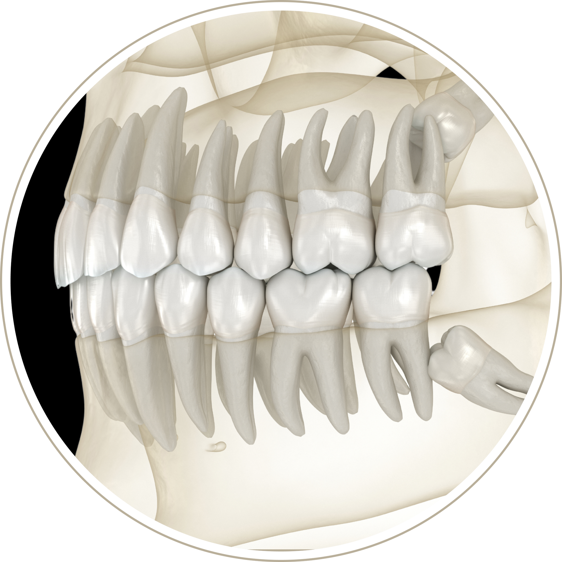 A close up of a person 's teeth in a circle