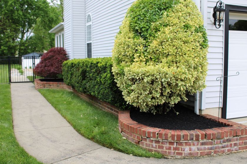 Brick-edged flowerbeds with bushes, adjacent to a sidewalk, with a house and gate in the background.