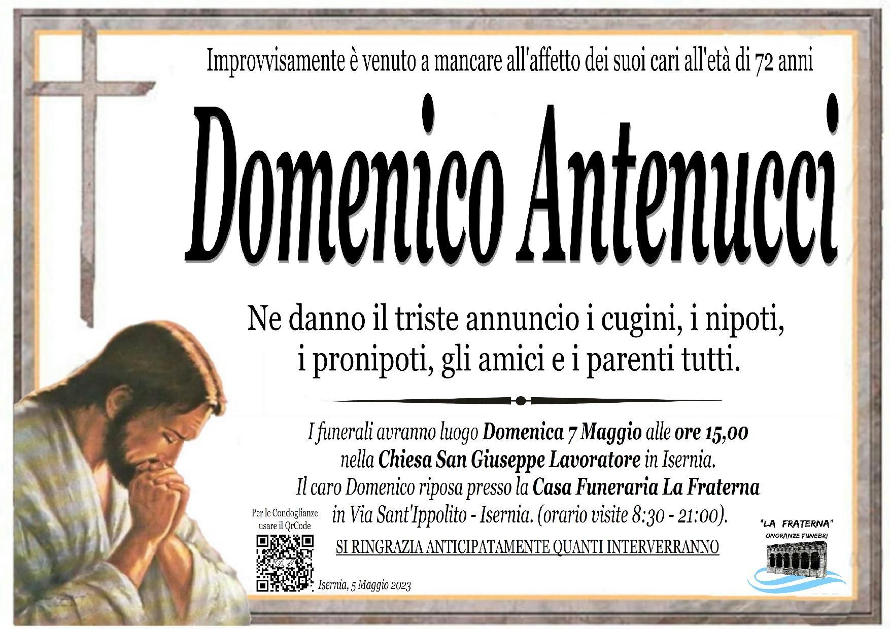 necrologio Domenico Antenucci