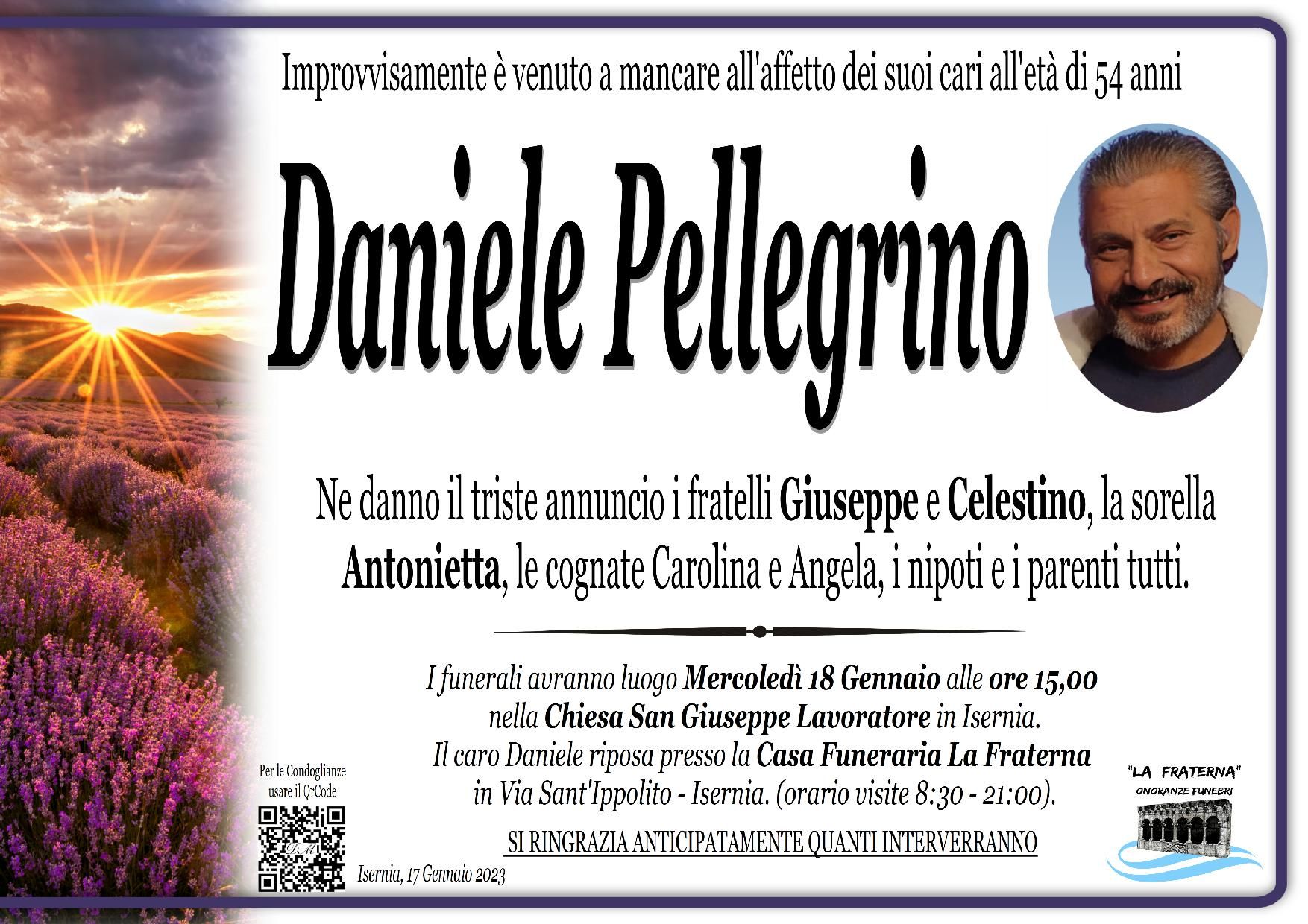 necrologio Daniele Pellegrino