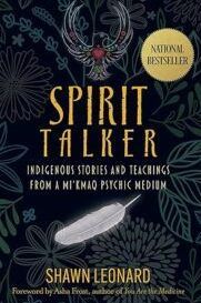 The cover of the book spirit talker by shawn leonard shows a feather on it.