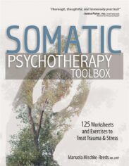 Somatic psychotherapy toolbox 125 worksheets and exercises to treat trauma and stress