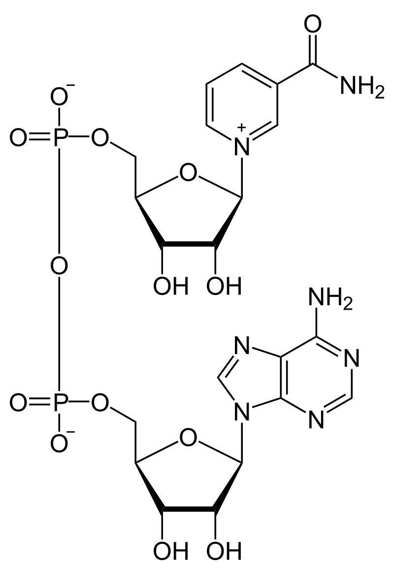 NAD + IV treatment