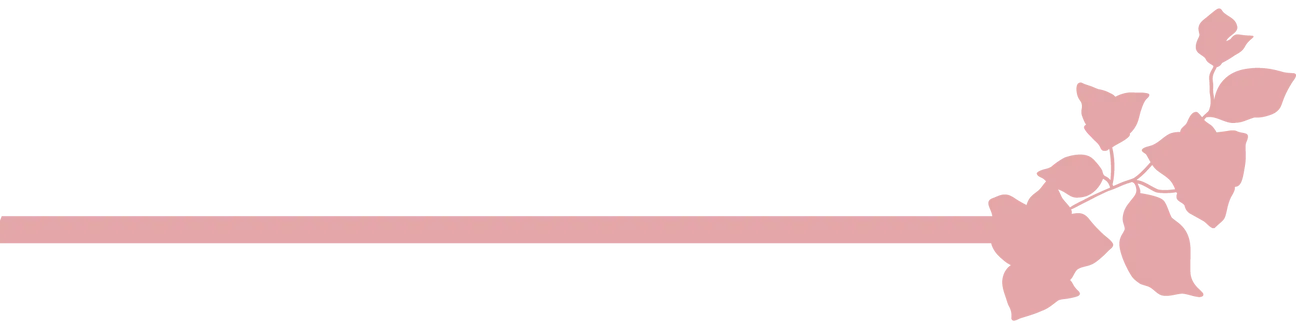 Pale pink leaves and a line on white background.