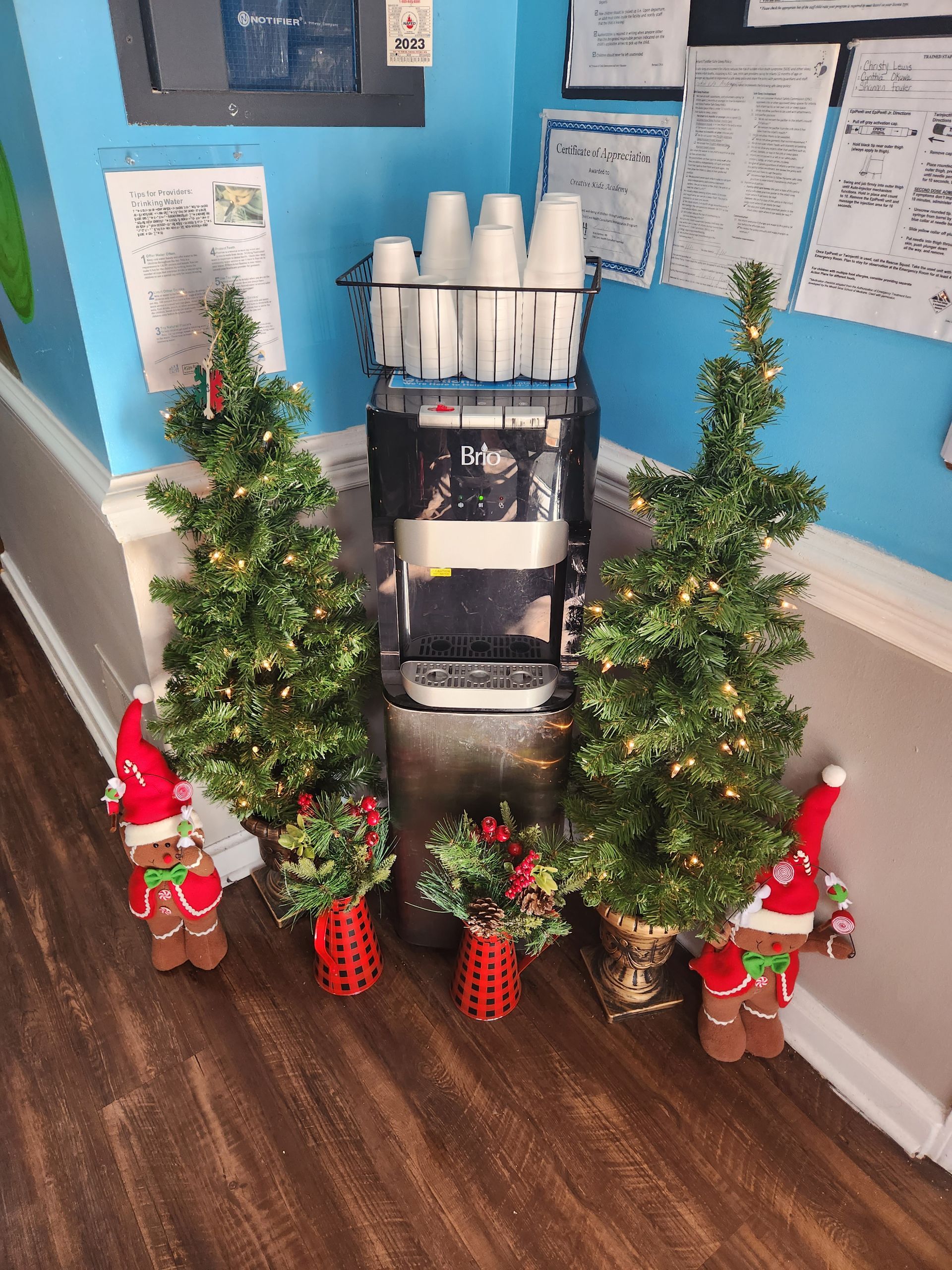 Creative Kidz Academy