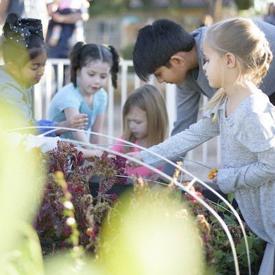 Montessori children working in the garden