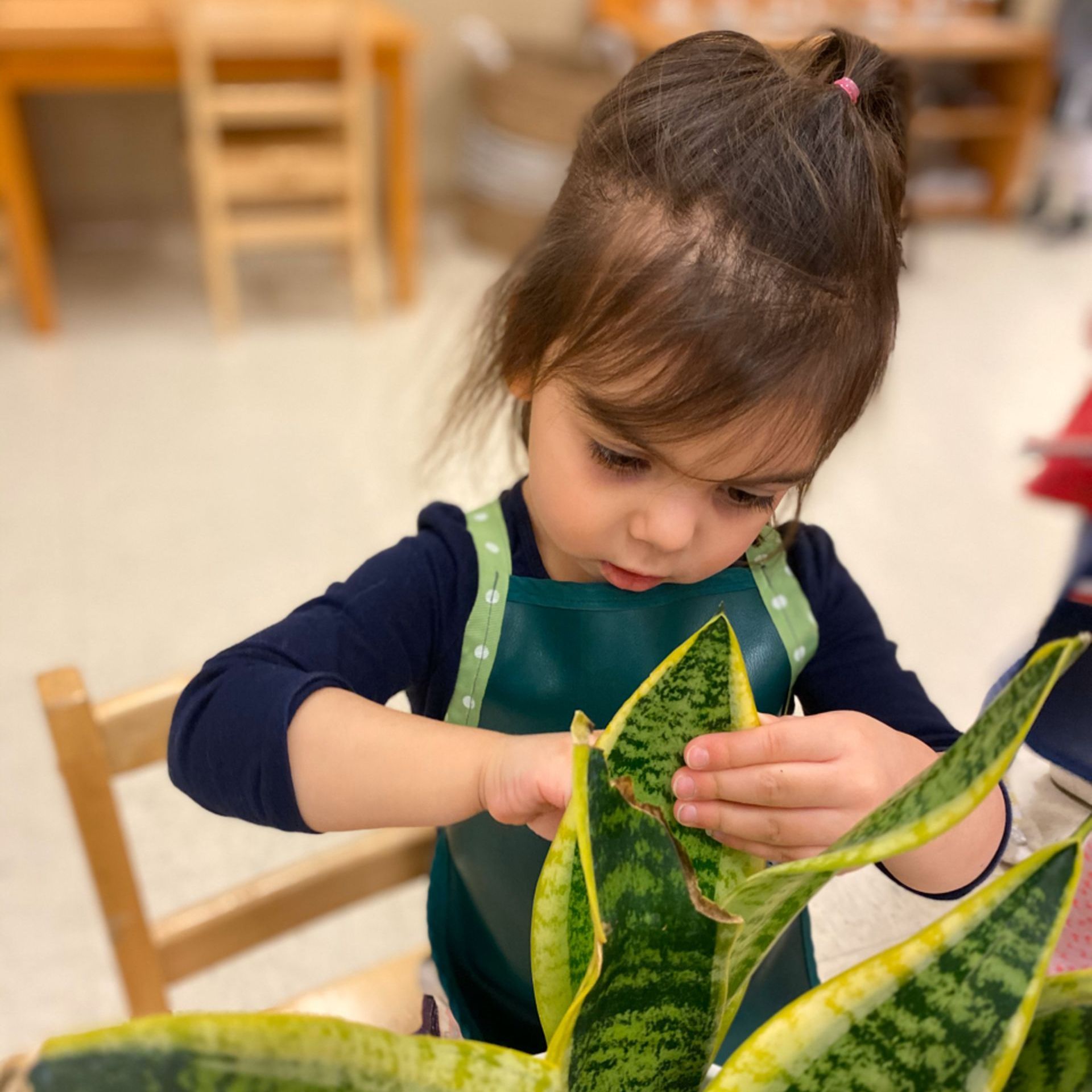 Montessori child working on practical life skills