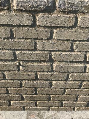 A close up of a brick wall with a lot of bricks.