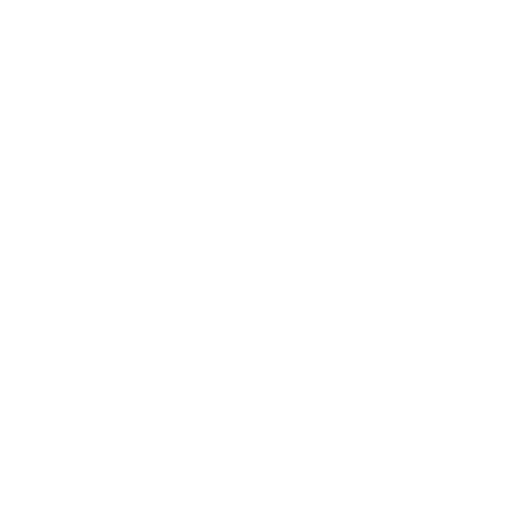 Elevate Web Solutions