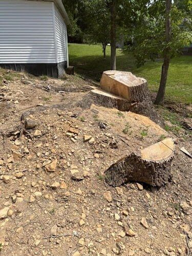 A tree stump is sitting on top of a rocky hill next to a house.