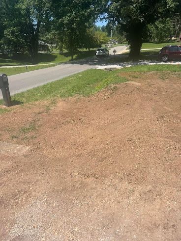 A red car is parked on the side of the road next to a tree.