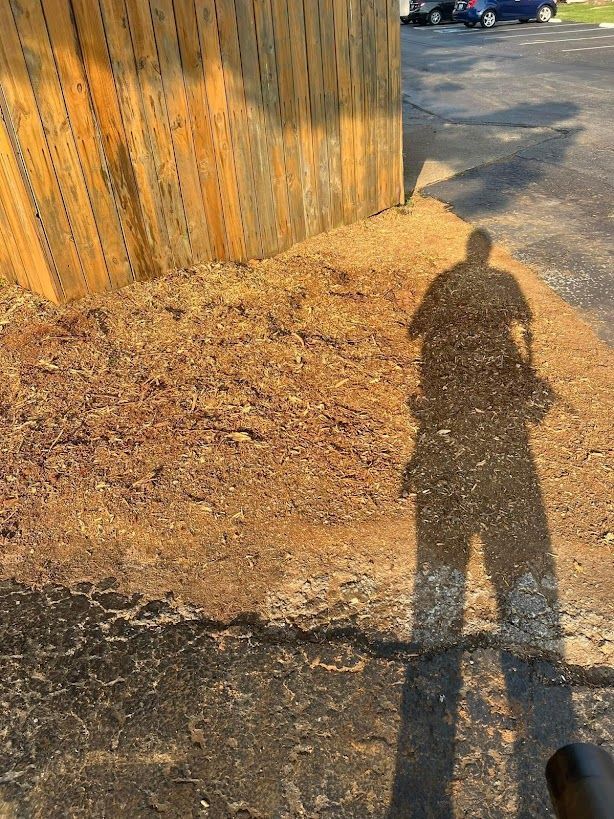 A shadow of a person standing next to a pile of wood chips.