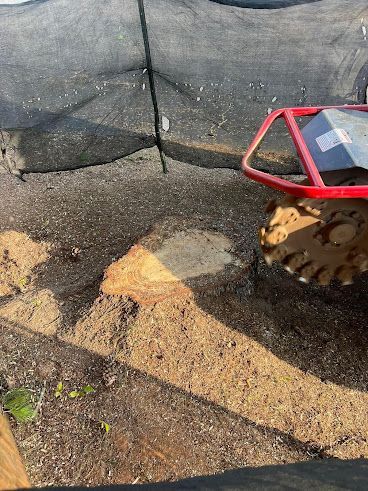 A red tractor is sitting in the dirt next to a tree stump.